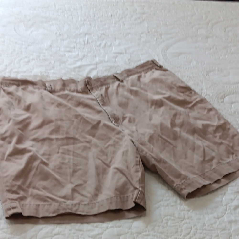 Polo Ralph Lauren Classic Khaki Tan Flat Front Cotton Shorts 50B